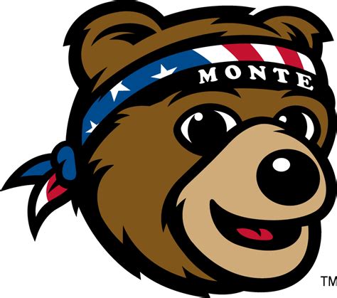The Bear Necessities: Montana's Mascot and Its Connection to Nature